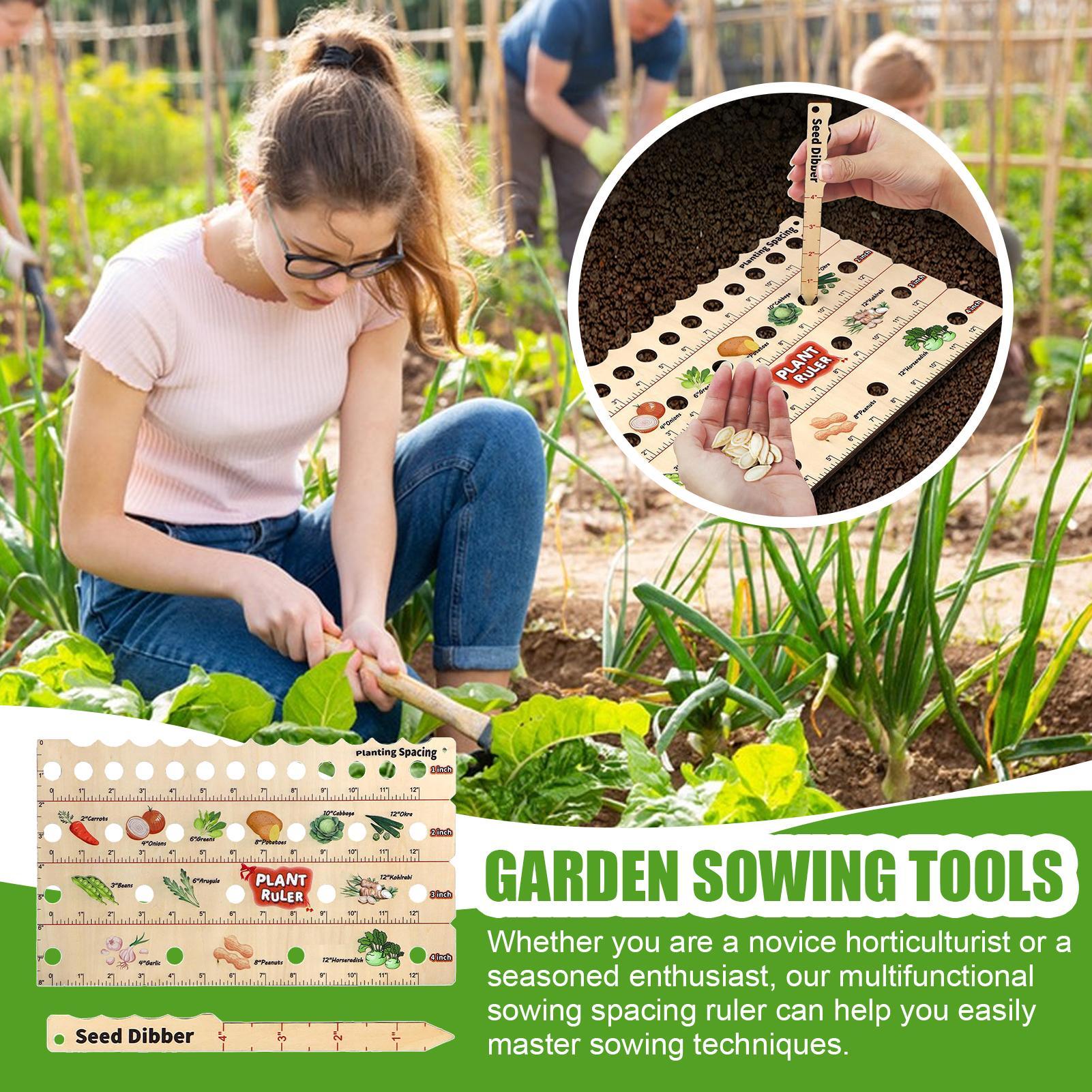 Wooden Plant Spacing Ruler Gar - Gardening Tools Wooden review and price
