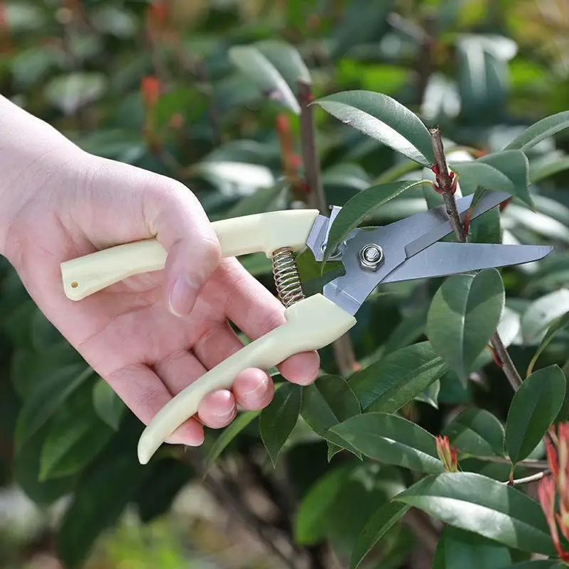 Stainless Steel Pruning Scisso - Garden Hand Trowel review and price