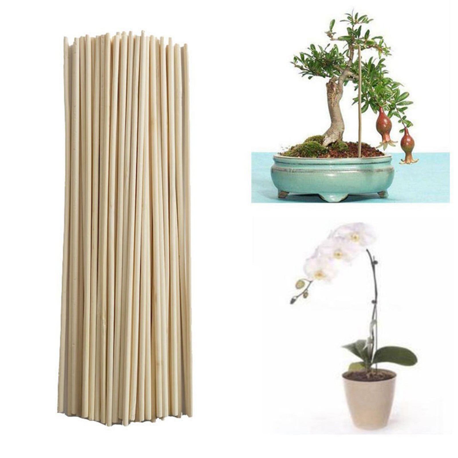 50PCS Bamboo Sticks Trellis St - Gardening Tools Shop review and price