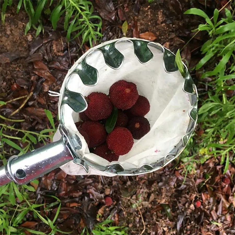 3-in-1 Fruit Harvesting Tool S - Gardening Tools Shop review and price
