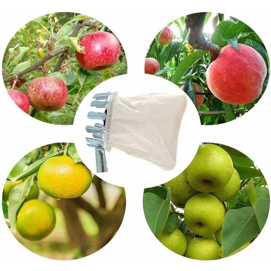 3-in-1 Fruit Harvesting Tool S - Gardening Tools Shop review and price