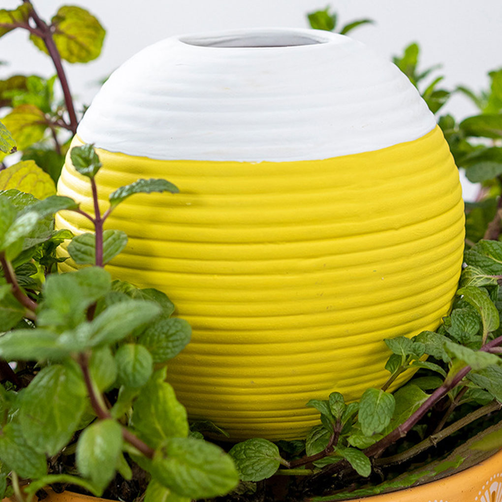 Ceramics Automatic Plant Water - Gardening Tools You Must Have review and price