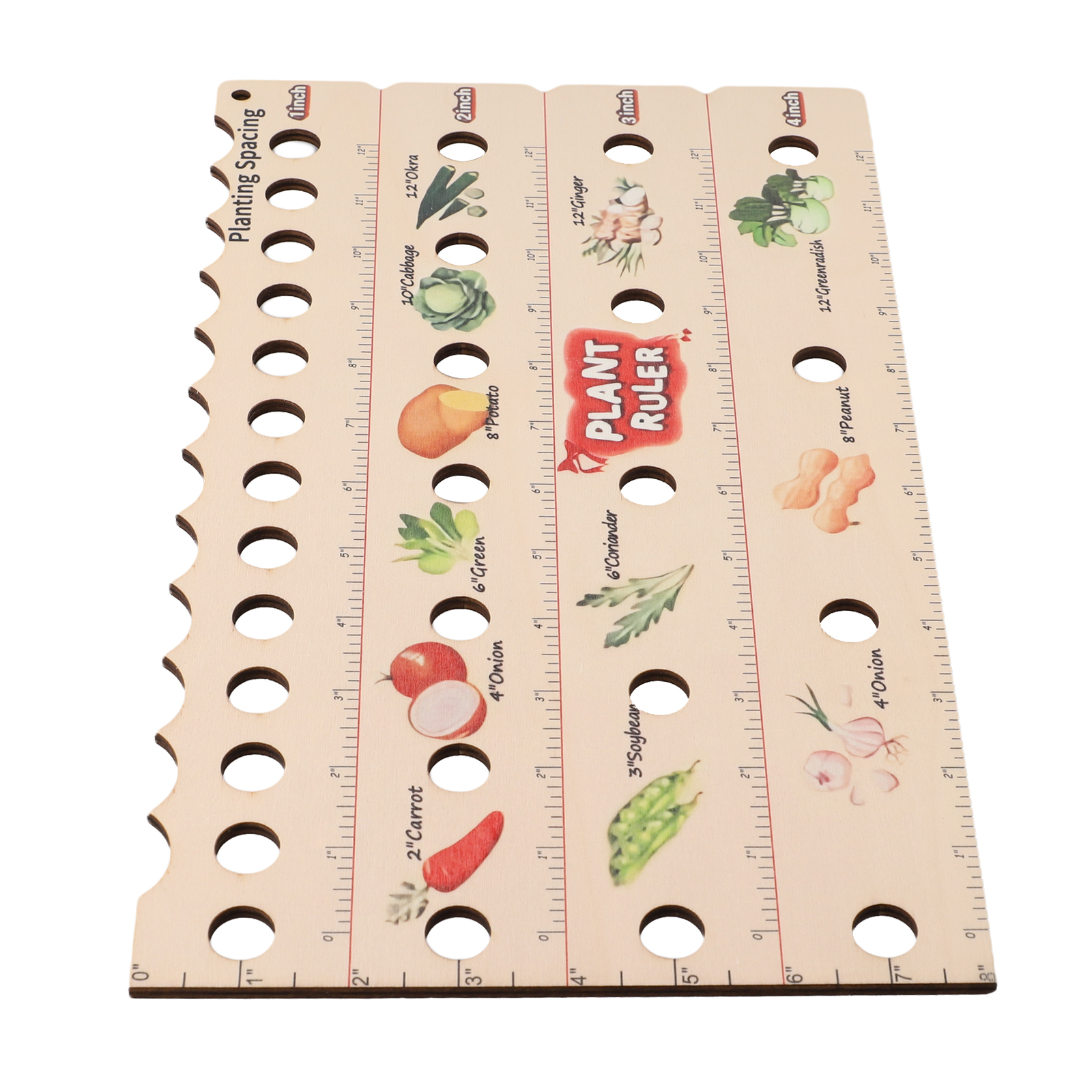 High Quality Plant Ruler Plant - Gardening Tools Wooden review and price