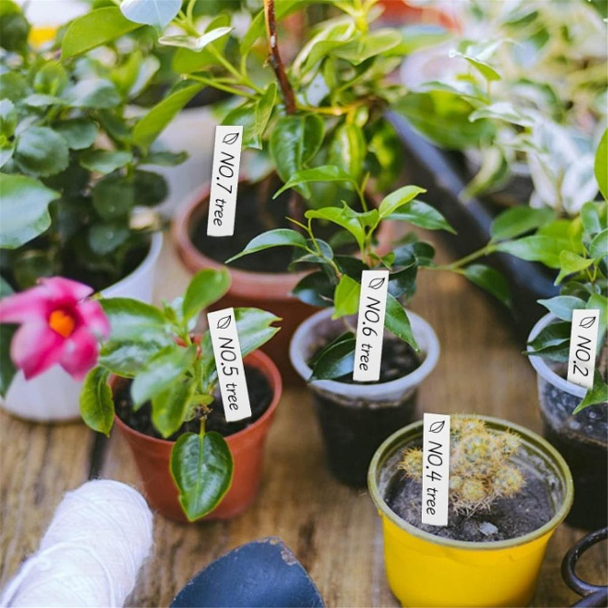 【Must-haves】Gardening tool - Gardening Tools You Must Have review and price