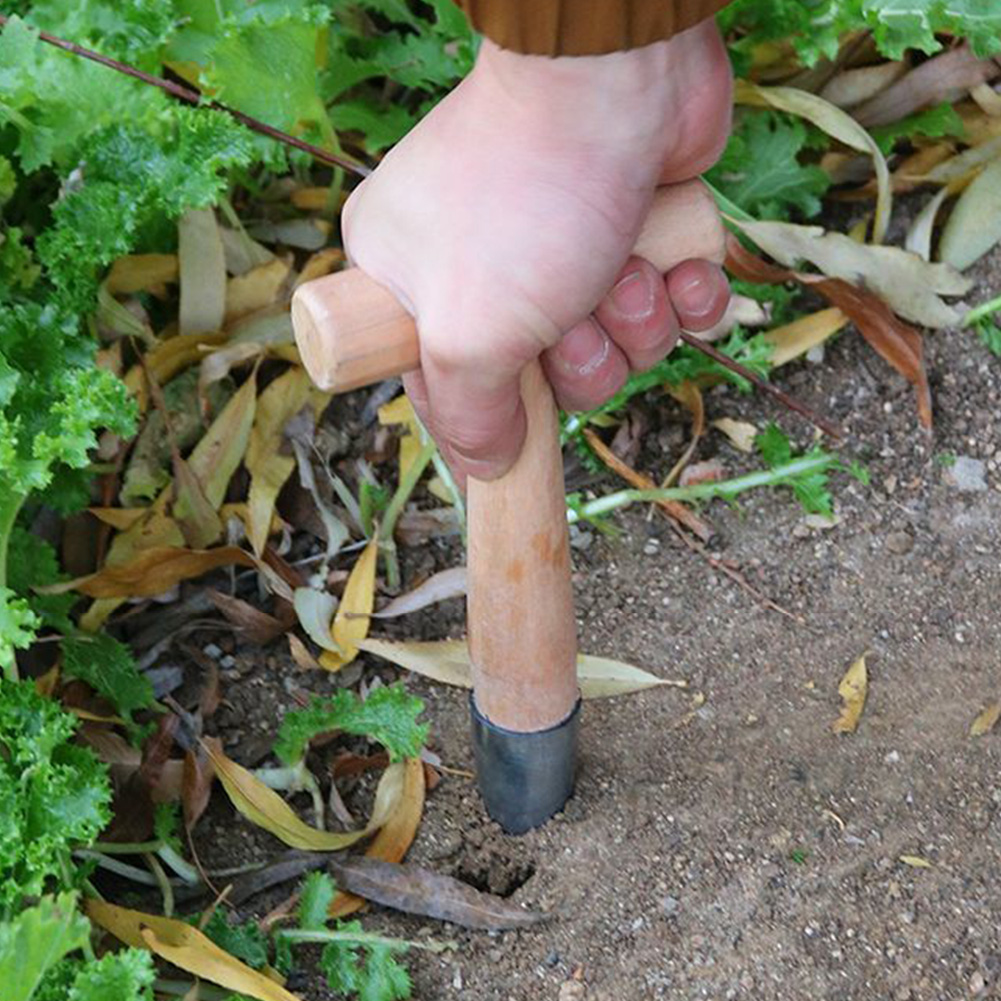 Hand Dibber Garden Tool Stainl - Gardening Tools Wooden review and price