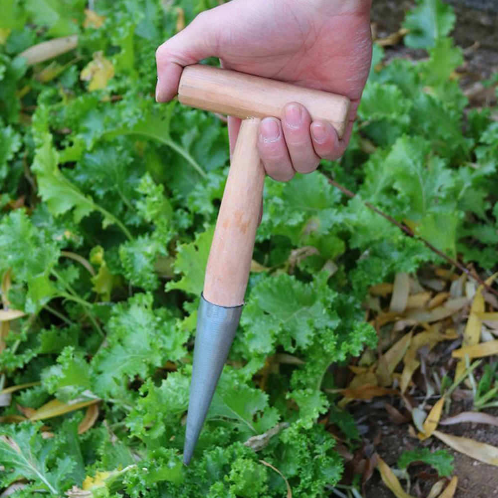 Hand Dibber Garden Tool Stainl - Gardening Tools Wooden review and price