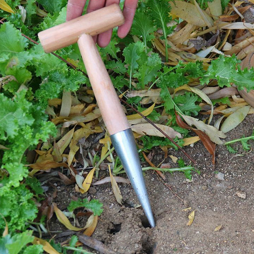 Hand Dibber Garden Tool Stainl - Gardening Tools Wooden review and price