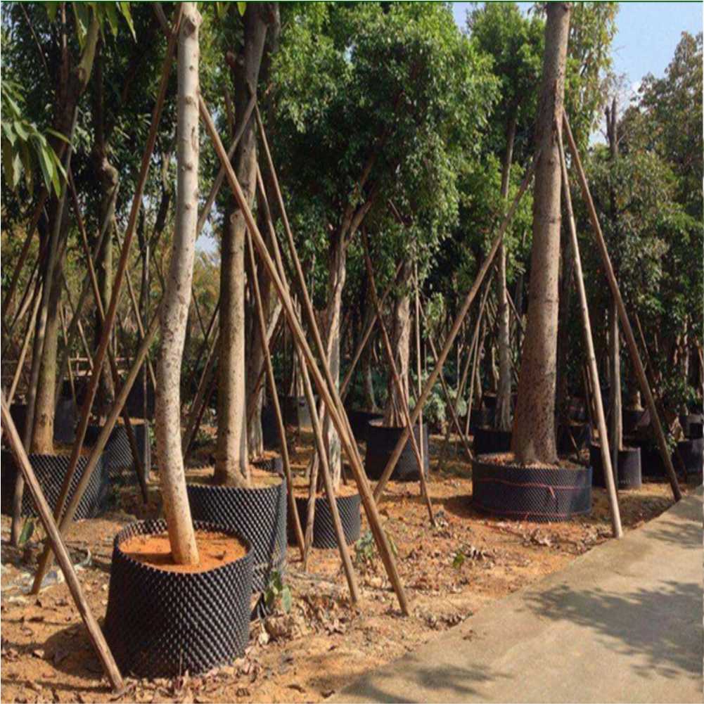 Grow Container Garden Tree Bon - Gardening Tools review and price
