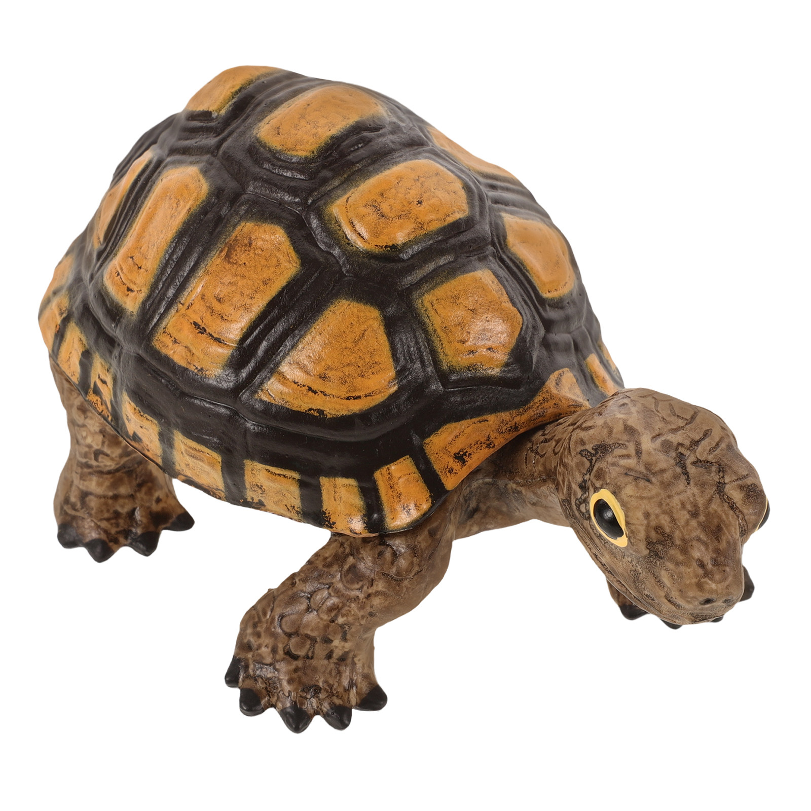 Realistic Wild Tortoise Educat - Gardening Tools Kids review and price
