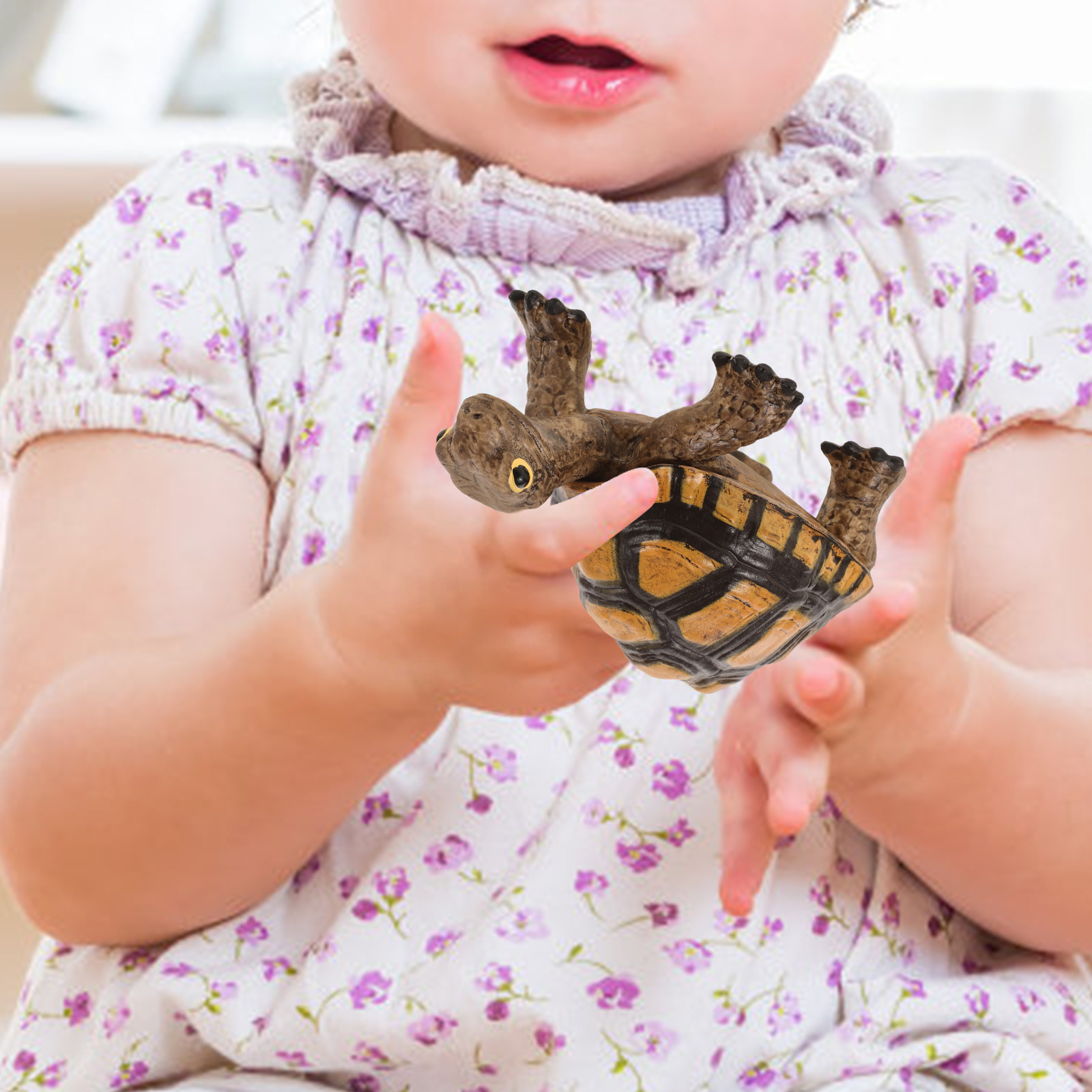 Realistic Wild Tortoise Educat - Gardening Tools Kids review and price