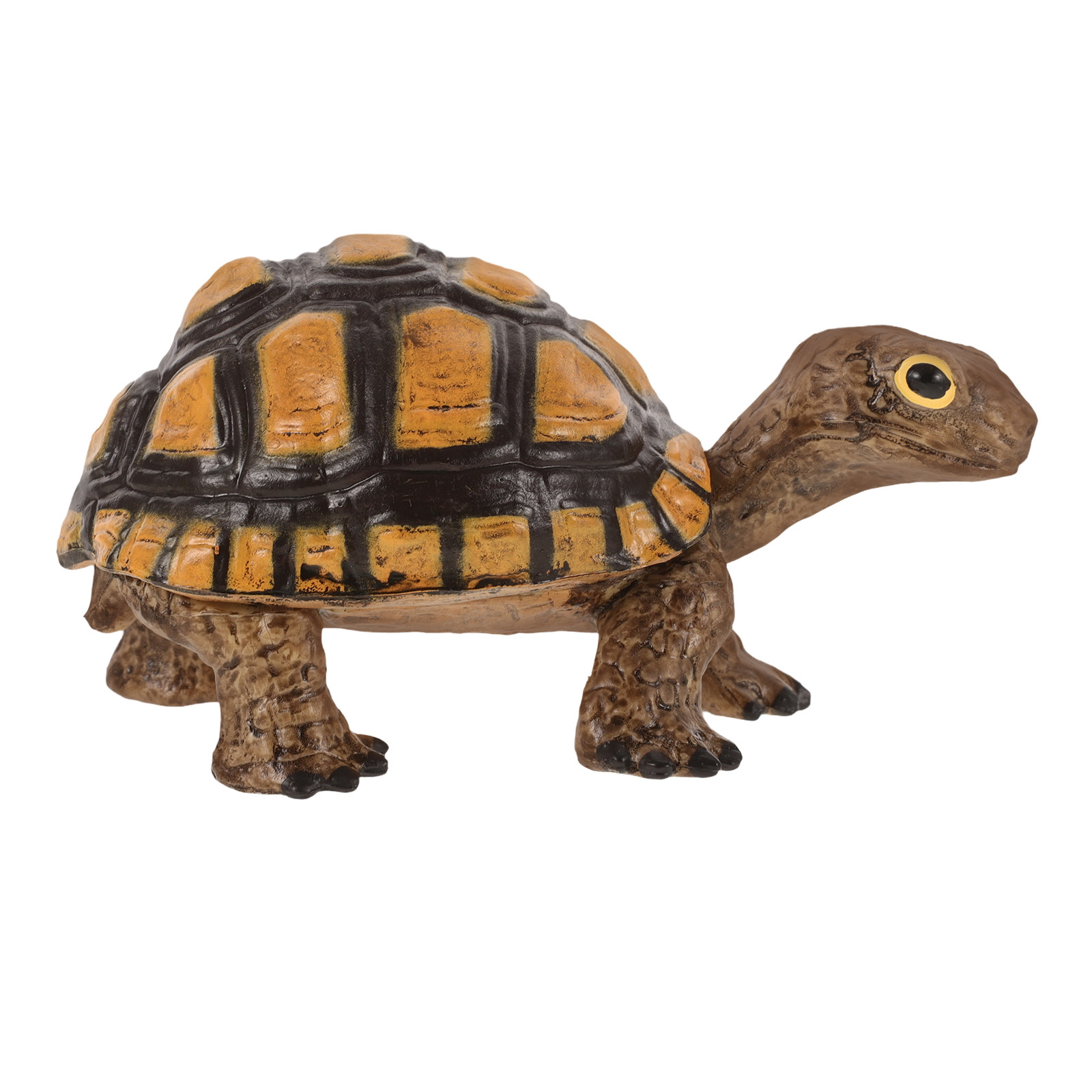 Realistic Wild Tortoise Educat - Gardening Tools Kids review and price