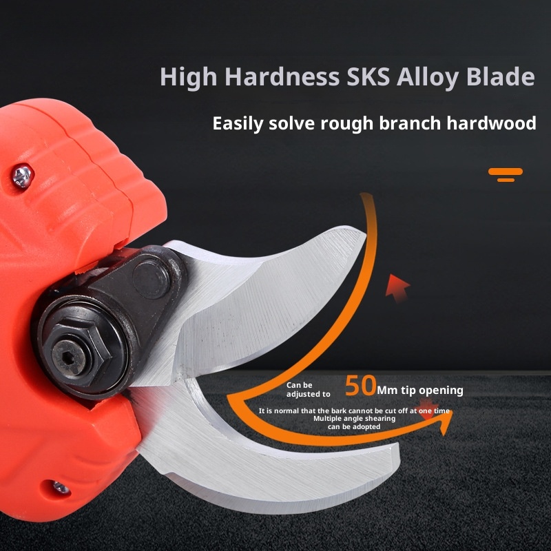 Garden Fruit Tree High Branch  - Pruning Shears review and price