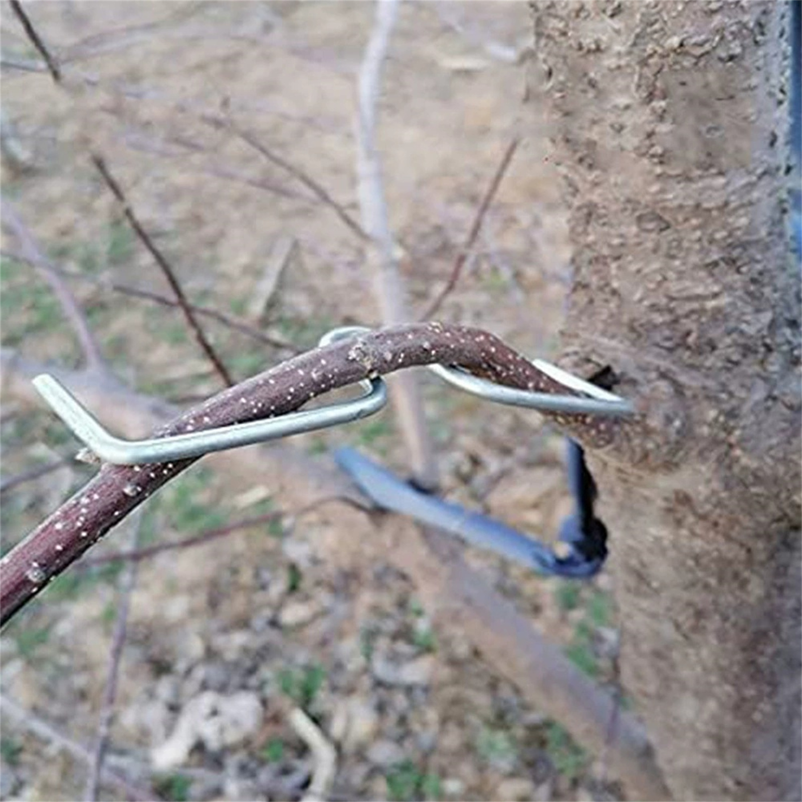 Fruit Tree Branch Bender Metal - Gardening Tools You Must Have review and price