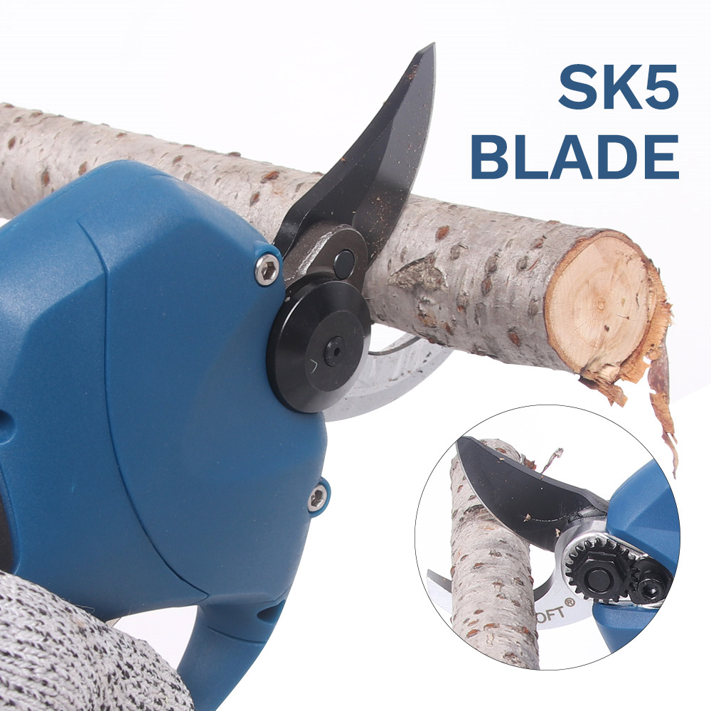 16.8V 2pc Lithium-Ion Battery  - Pruning Shears review and price
