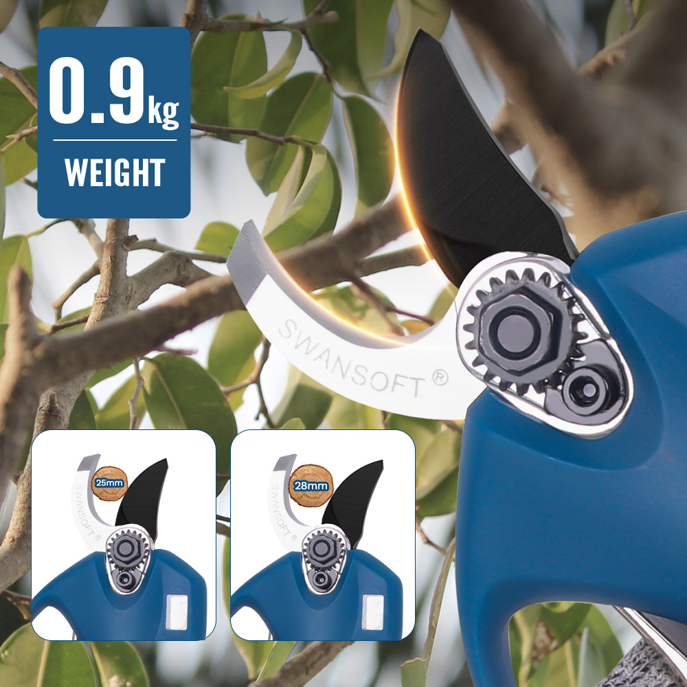 16.8V 2pc Lithium-Ion Battery  - Pruning Shears review and price