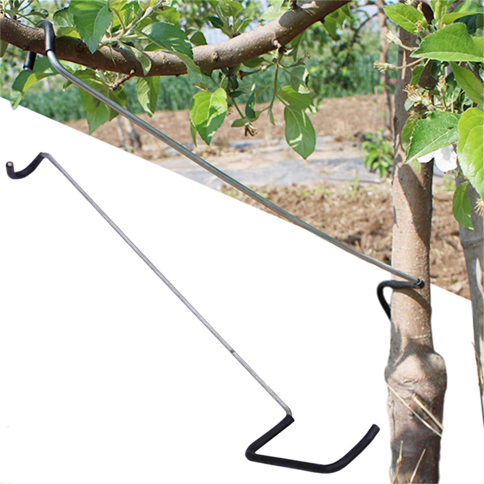 Fruit Tree Branch Spreader 10P - Gardening Tools Shop review and price