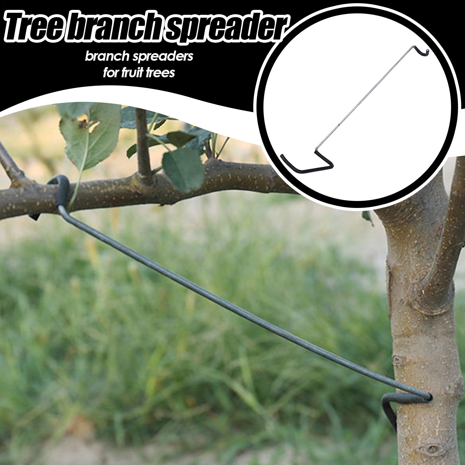 Fruit Tree Branch Spreader 10P - Gardening Tools Shop review and price
