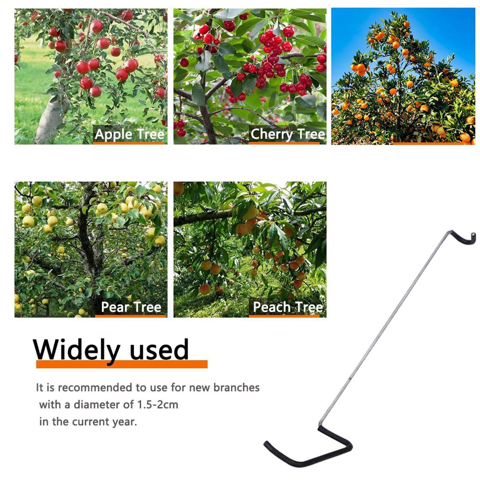 Fruit Tree Branch Spreader 10P - Gardening Tools Shop review and price