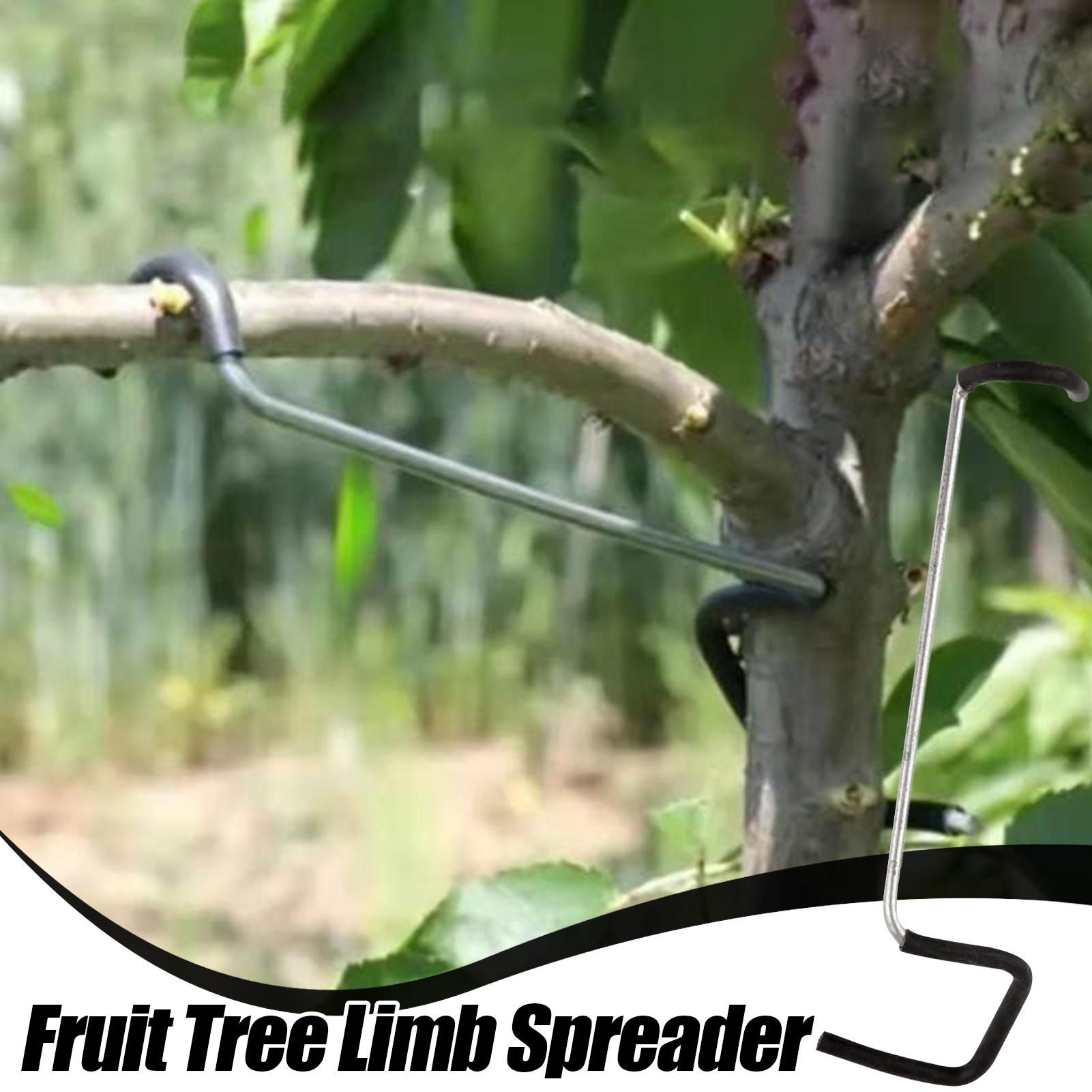 Fruit Tree Branch Spreader 10P - Gardening Tools Shop review and price