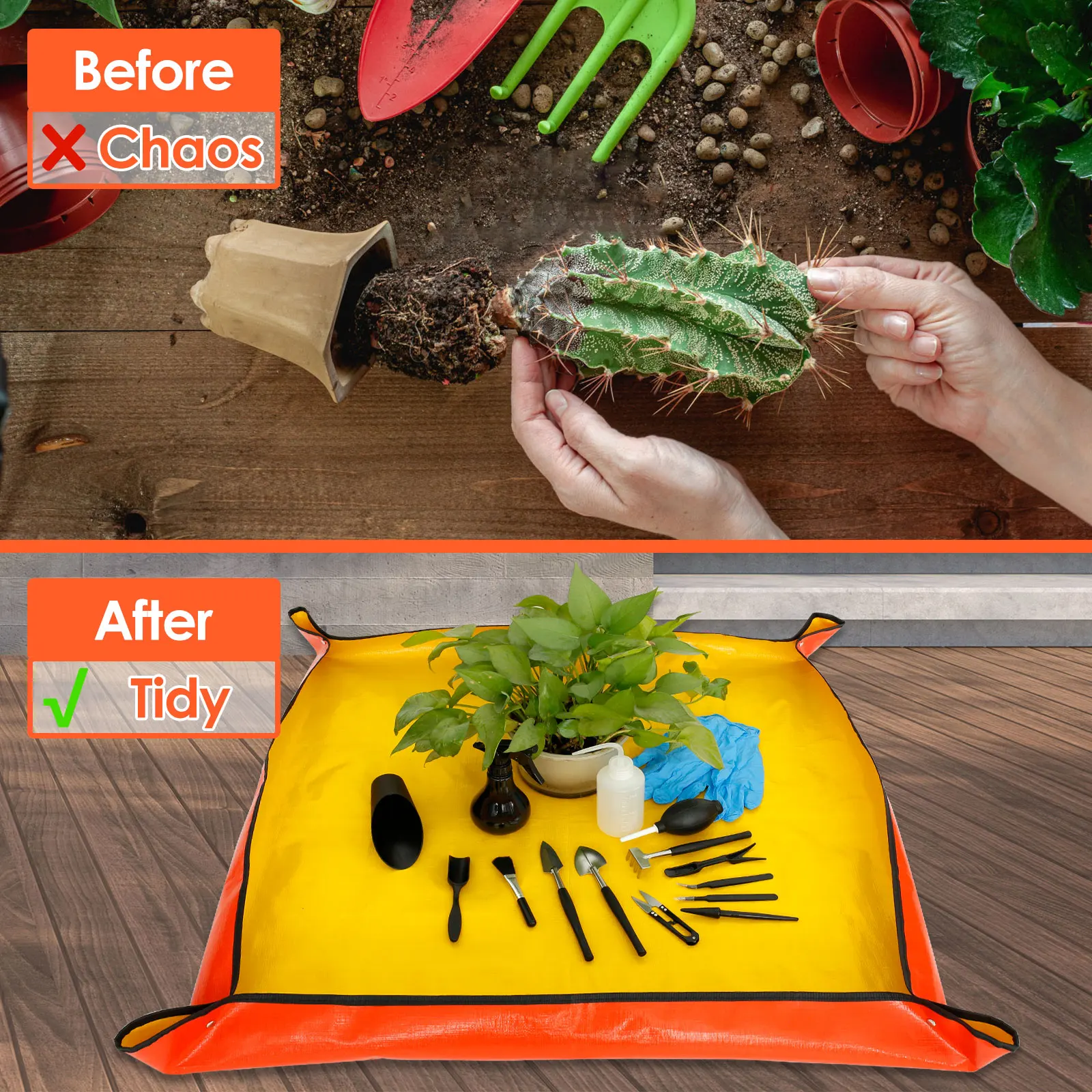 13/16Pcs Garden Succulent Plan - Gardening Tools Shop review and price