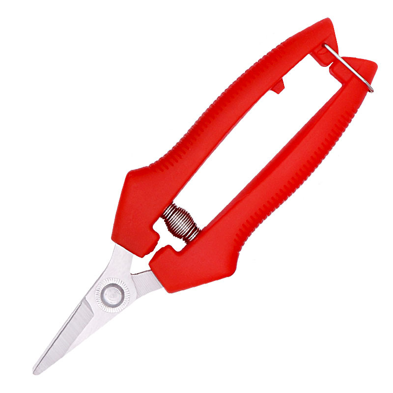 Latest DesignHot SaleManufactu - Pruning Shears review and price