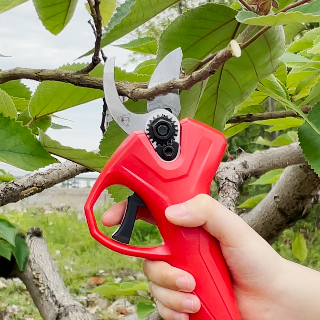Pruner Scissors Brushless Prun - Pruning Shears review and price