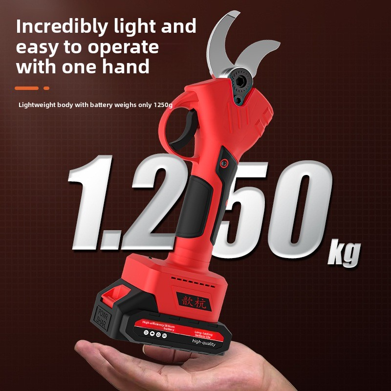 Rechargeable Lithium Battery E - Pruning Shears review and price